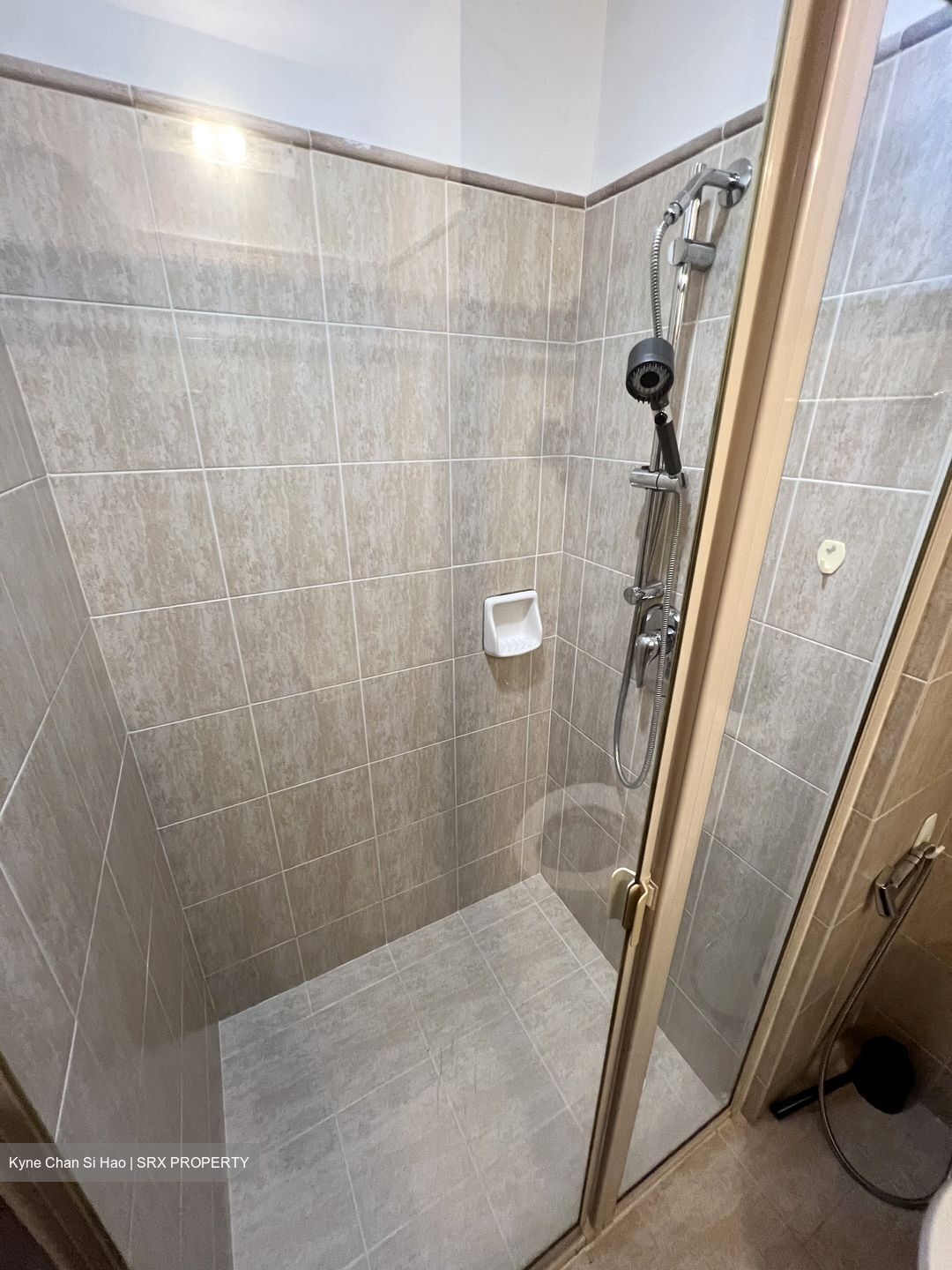 Tanglin View (D3), Condominium #627376941
